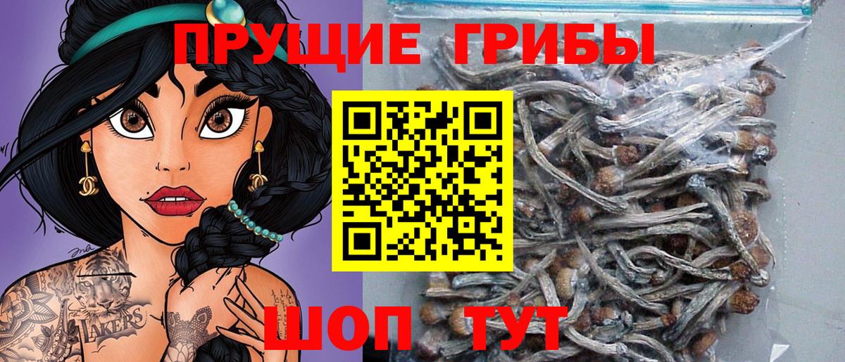Галлюциногенные грибы Cubensis  Вход с VPN  Южно-Сахалинск  цена   Псилоцибиновые грибы Cubensis 